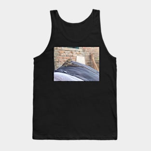 Sleeping Iguana Portrait Tank Top